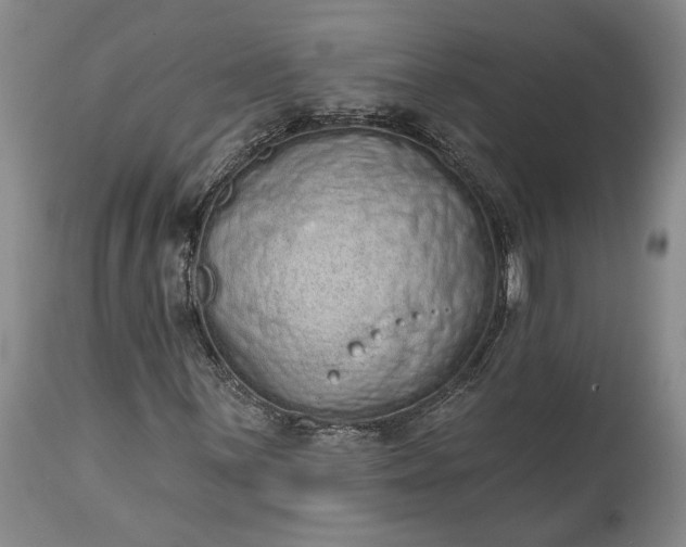 X0000114201059200910231338