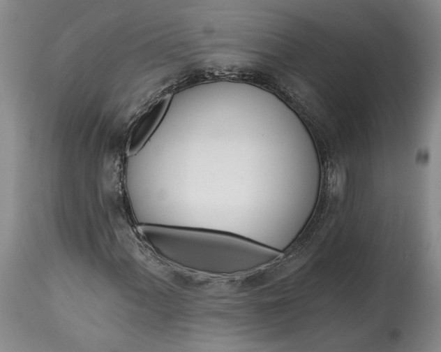 X0000114201060200910231338