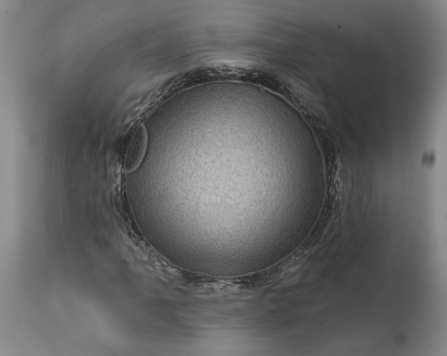 X0000114201061200910231338