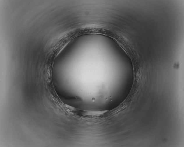 X0000114201062200910231338