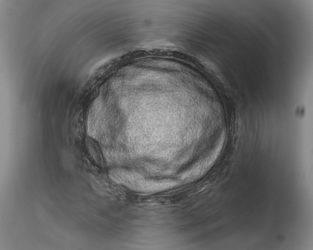 X0000114201063200910231338