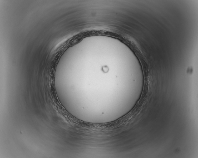 X0000114201064200910231338