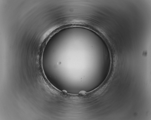 X0000114201066200910231338