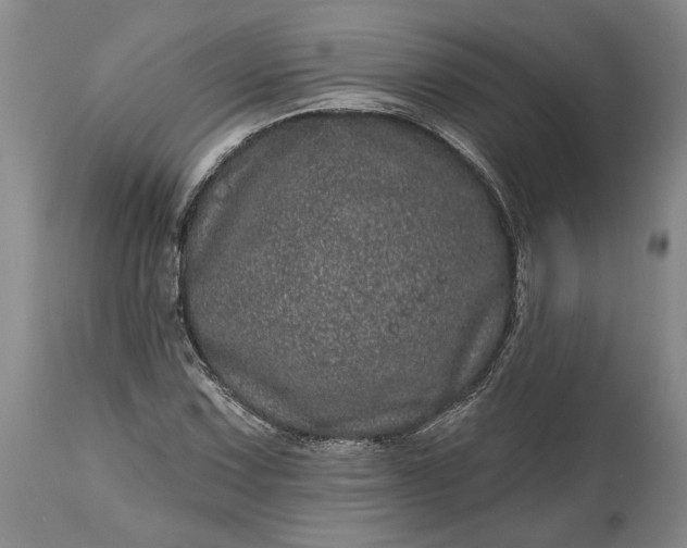 X0000114201067200910231338