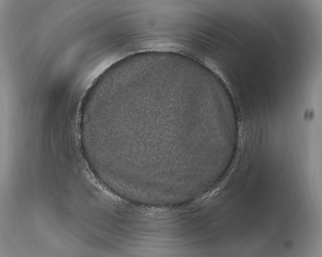 X0000114201071200910231338