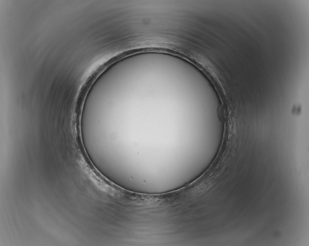 X0000114201072200910231338