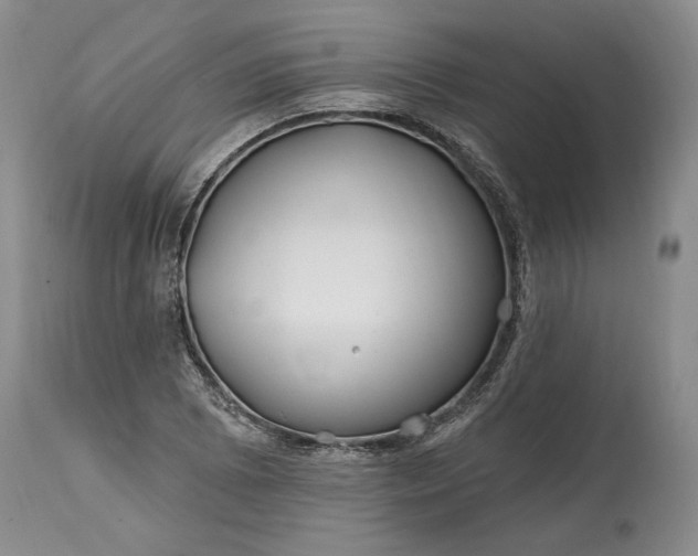 X0000114201073200910231338