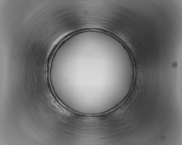 X0000114201076200910231338