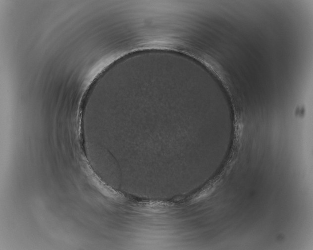 X0000114201077200910231338