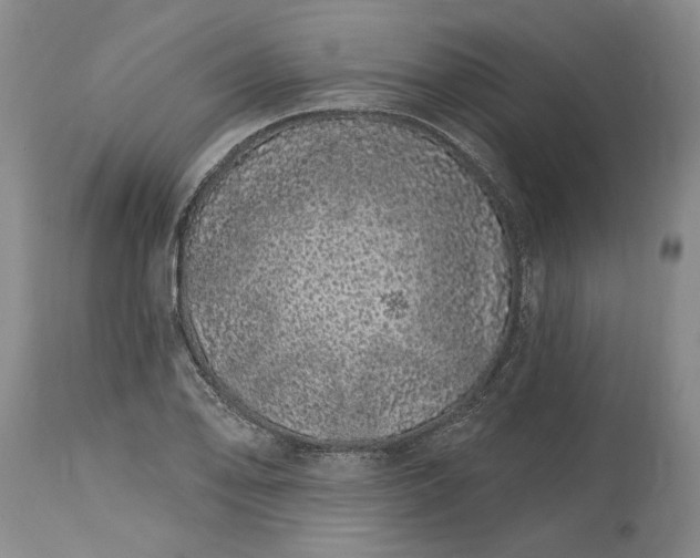 X0000114201078200910231338