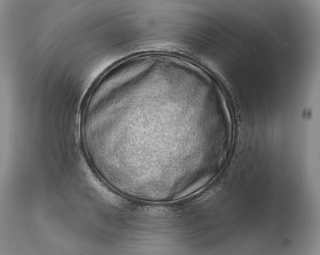 X0000114201079200910231338