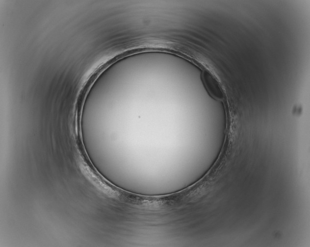 X0000114201080200910231338