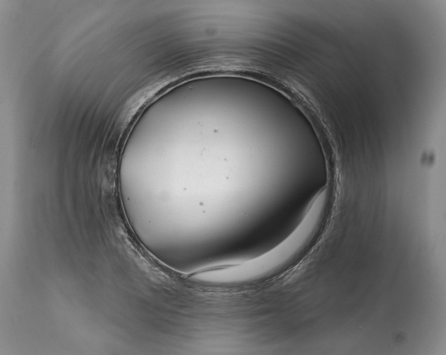 X0000114201081200910231338