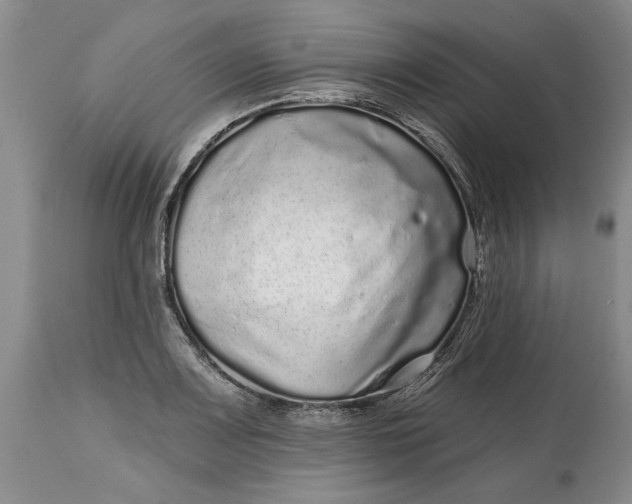 X0000114201083200910231338