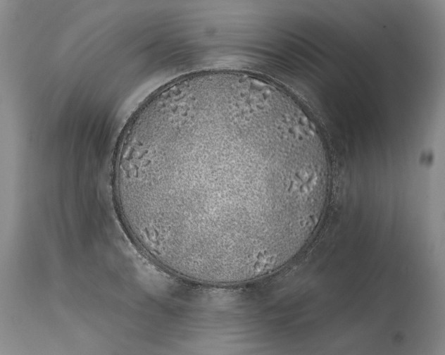 X0000114201086200910231338