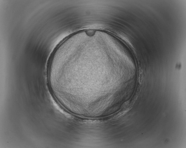 X0000114201087200910231338