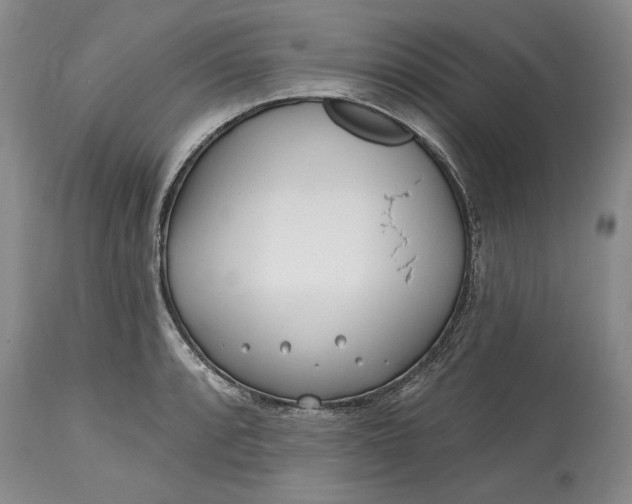 X0000114201088200910231338