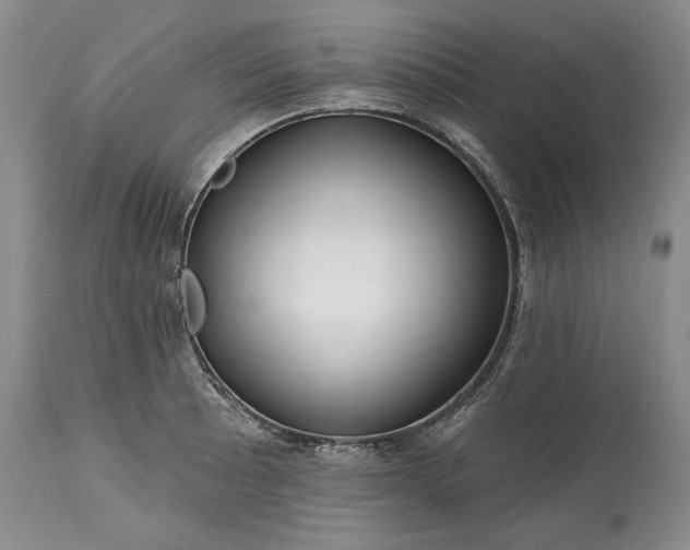 X0000114201089200910231338