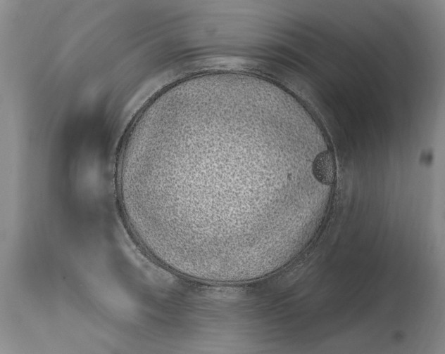 X0000114201090200910231338