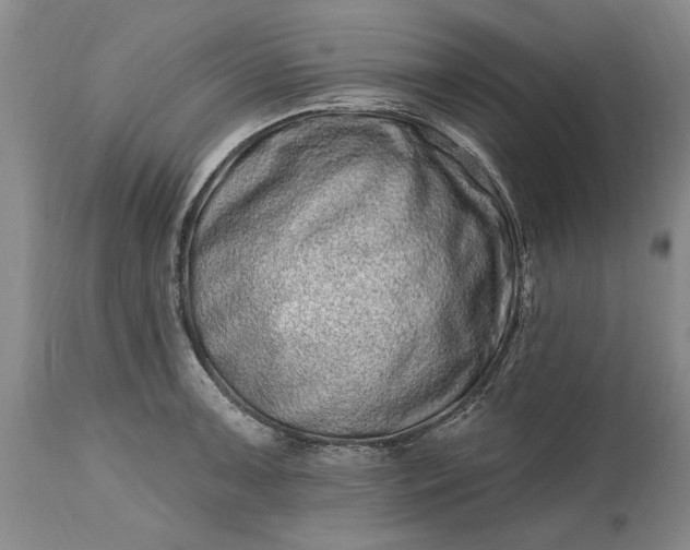 X0000114201091200910231338