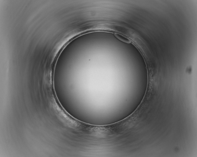 X0000114201092200910231338