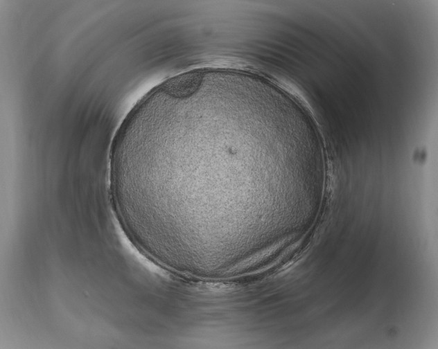 X0000114201095200910231338