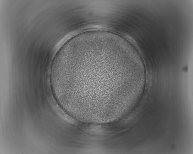 X0000114201098200910231337