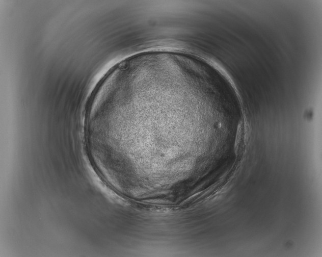 X0000114201099200910231337