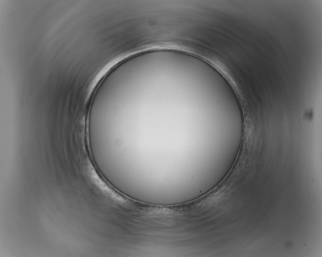 X0000114201100200910231337