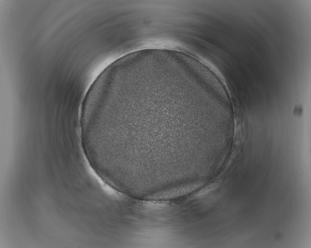 X0000114201103200910231337