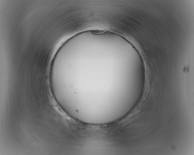 X0000114201104200910231337