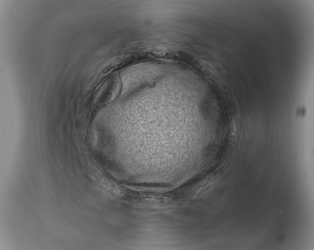 X0000114201105200910231337