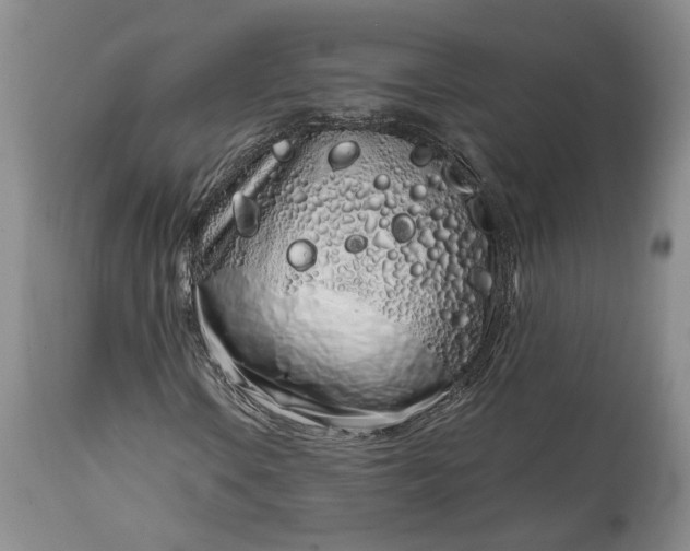 X0000114201106200910231337