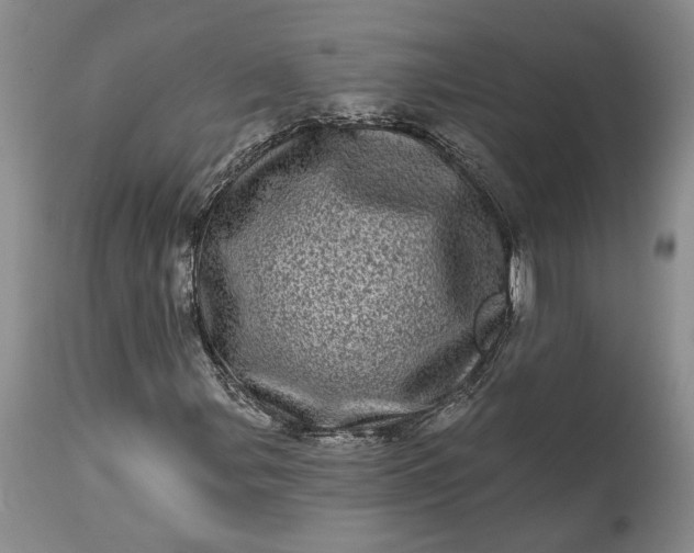 X0000114201107200910231337