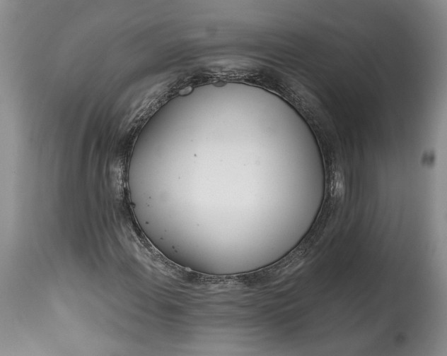 X0000114201108200910231337