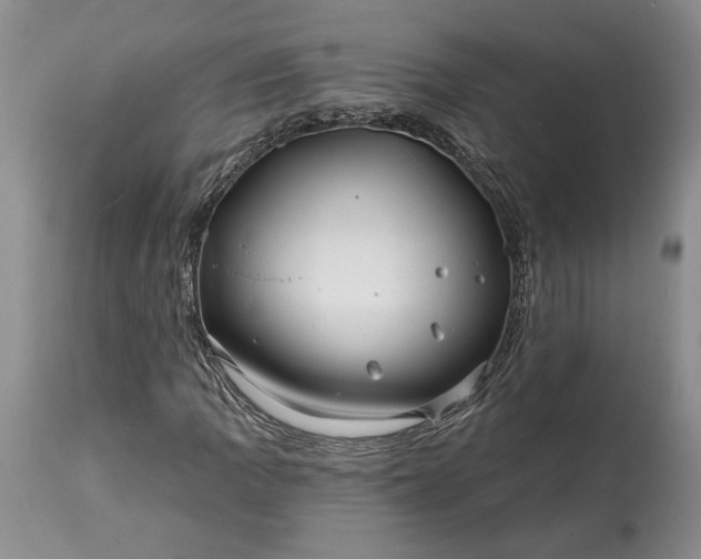 X0000114201109200910231337