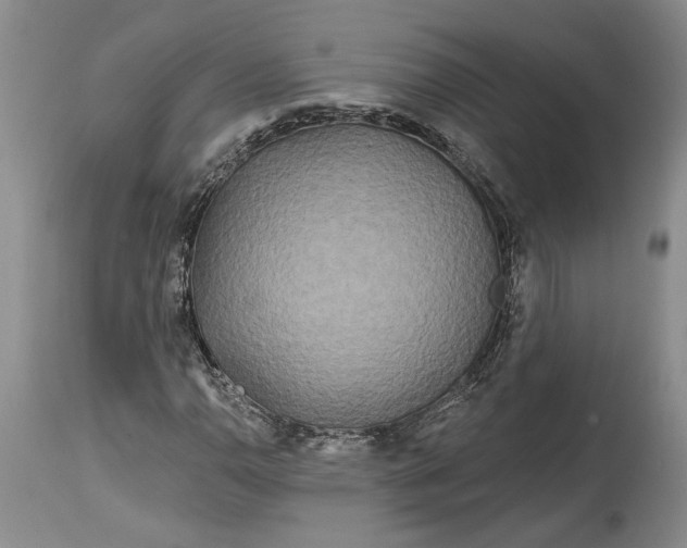 X0000114201110200910231337