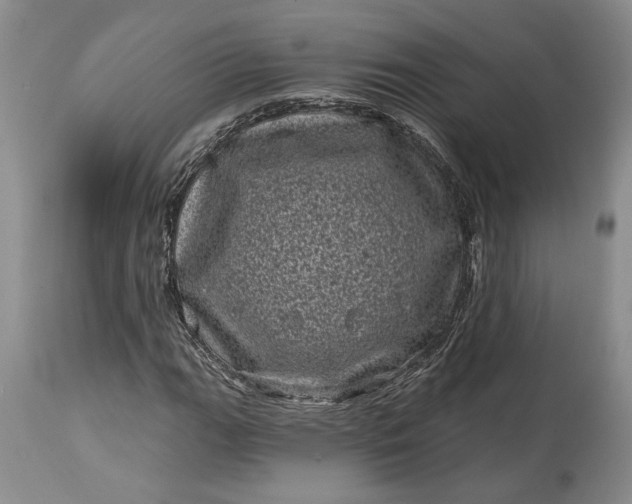 X0000114201111200910231337