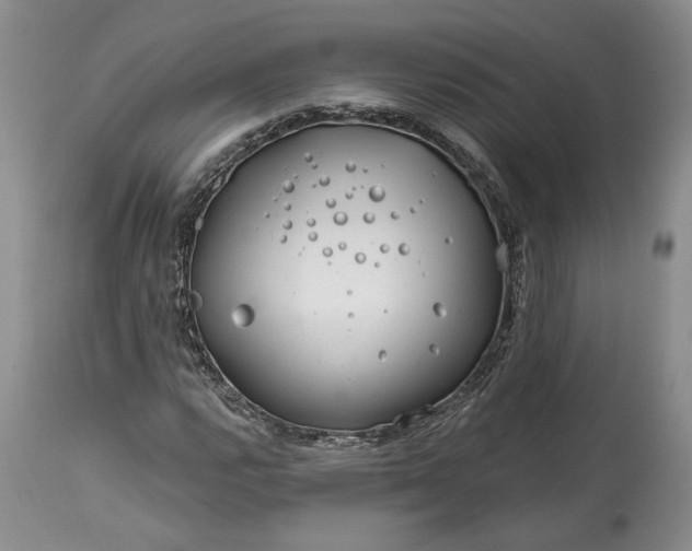 X0000114201112200910231337