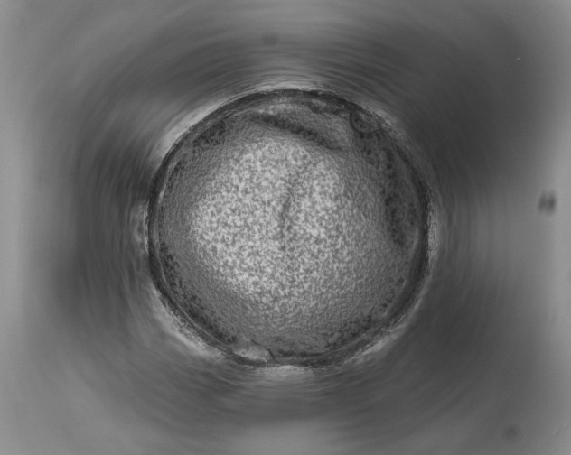 X0000114201113200910231337