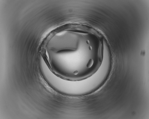 X0000114201114200910231337