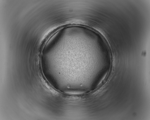 X0000114201115200910231337