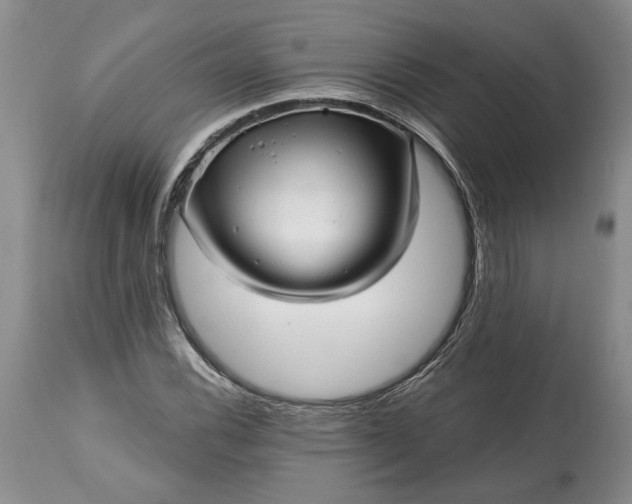 X0000114201116200910231337