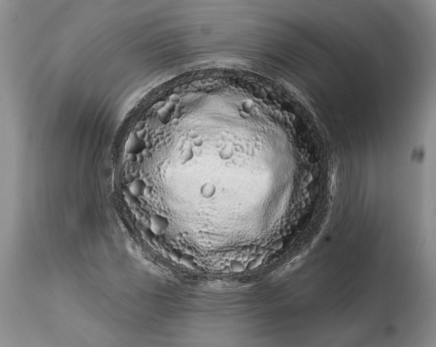 X0000114201117200910231337