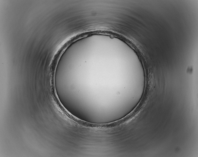 X0000114201118200910231337