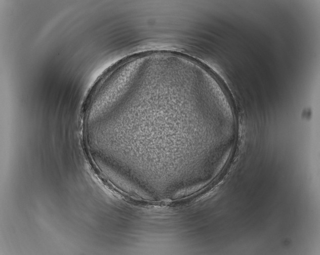 X0000114201119200910231337