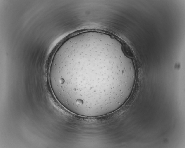 X0000114201120200910231337