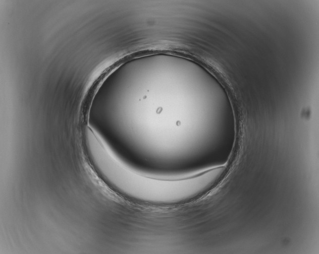 X0000114201122200910231337