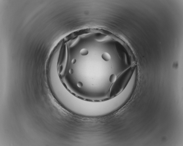 X0000114201124200910231337