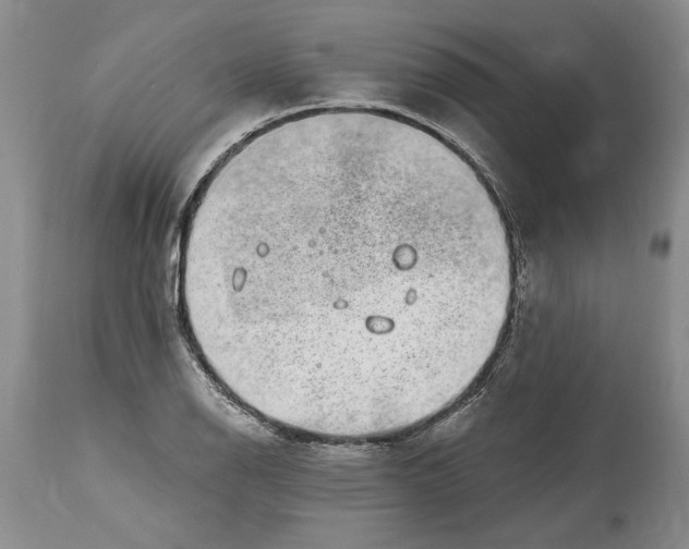 X0000114201126200910231337